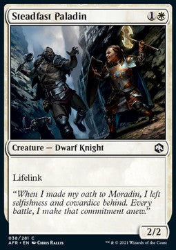 Steadfast Paladin