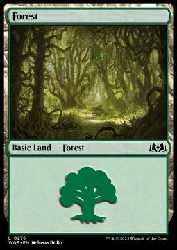 Forest (V.2)